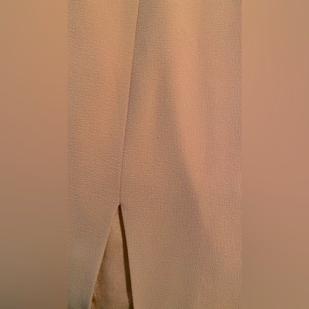 Dress the Population Sandra V Neck Gown: Blush - Picture 8 of 9